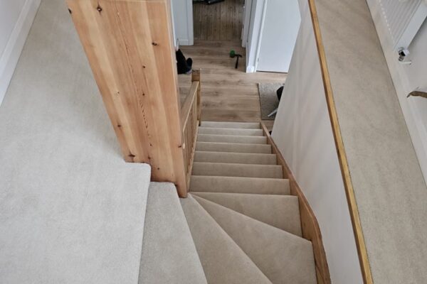 490415048_1206913324772488_506835466640953222_n