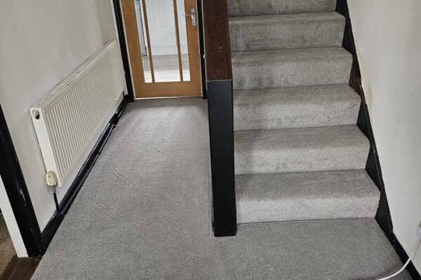 490756163_1206913454772475_2625166315028927000_n