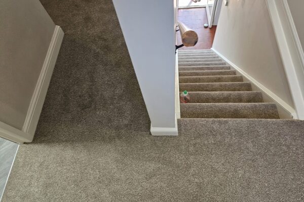 490847001_1206913598105794_47323196955836824_n