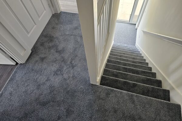 490870896_1206922421438245_6338144863595101627_n