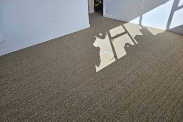 491274291_1209582091172278_434915992604215084_n