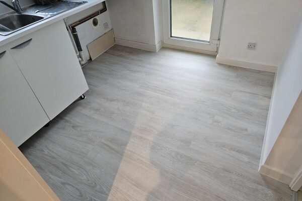 491754084_1209579131172574_7550355621727329928_n