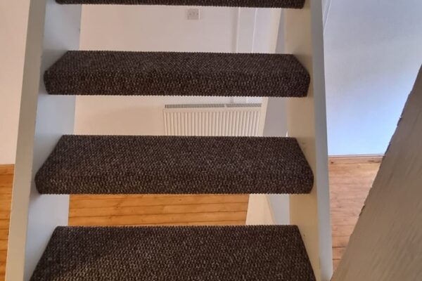 492418843_1215255947271559_3262048739454352979_n